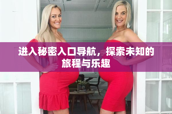 进入秘密入口导航，探索未知的旅程与乐趣