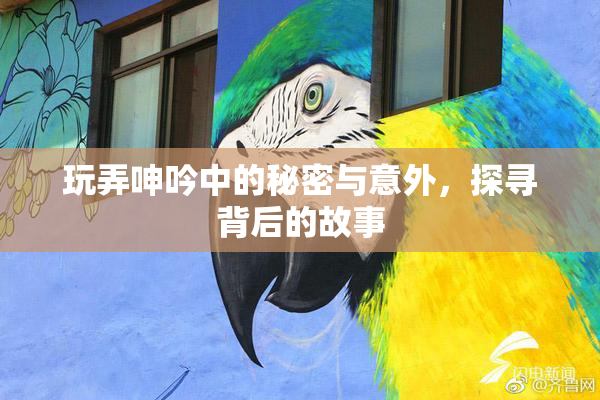玩弄呻吟中的秘密与意外，探寻背后的故事