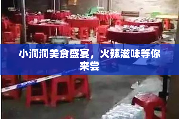 小洞洞美食盛宴，火辣滋味等你来尝