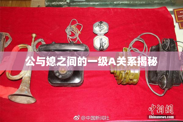 公与媳之间的一级A关系揭秘