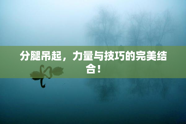分腿吊起，力量与技巧的完美结合！
