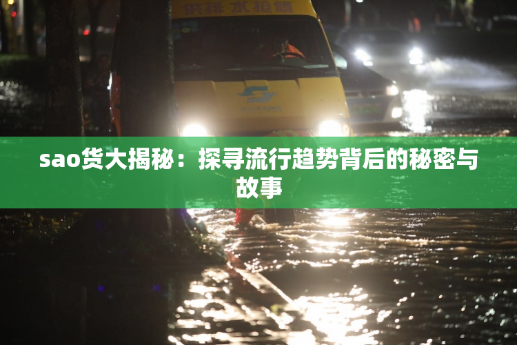sao货大揭秘：探寻流行趋势背后的秘密与故事