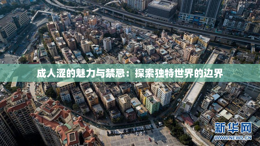 成人涩的魅力与禁忌：探索独特世界的边界