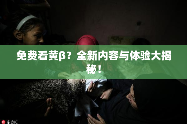 免费看黄β？全新内容与体验大揭秘！