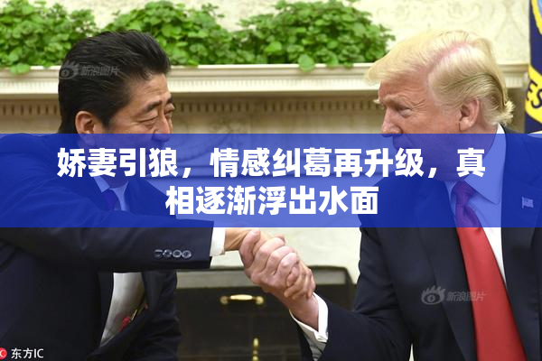 娇妻引狼，情感纠葛再升级，真相逐渐浮出水面
