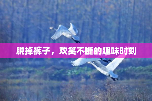 脱掉裤子，欢笑不断的趣味时刻