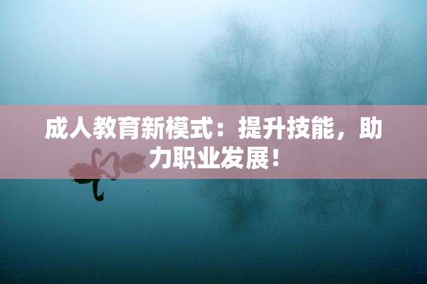 成人教育新模式：提升技能，助力职业发展！