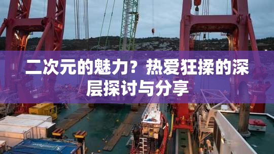 二次元的魅力？热爱狂揉的深层探讨与分享