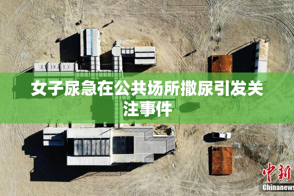 女子尿急在公共场所撒尿引发关注事件