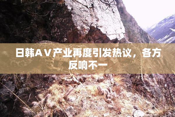 日韩AⅤ产业再度引发热议，各方反响不一