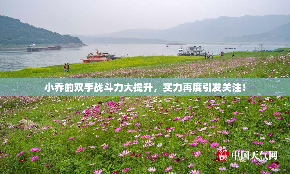 小乔的双手战斗力大提升，实力再度引发关注！