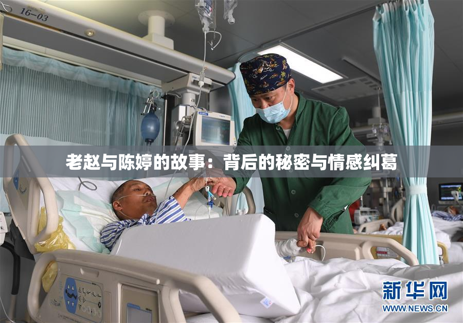 老赵与陈婷的故事：背后的秘密与情感纠葛