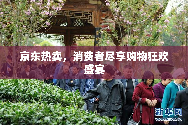 京东热卖，消费者尽享购物狂欢盛宴