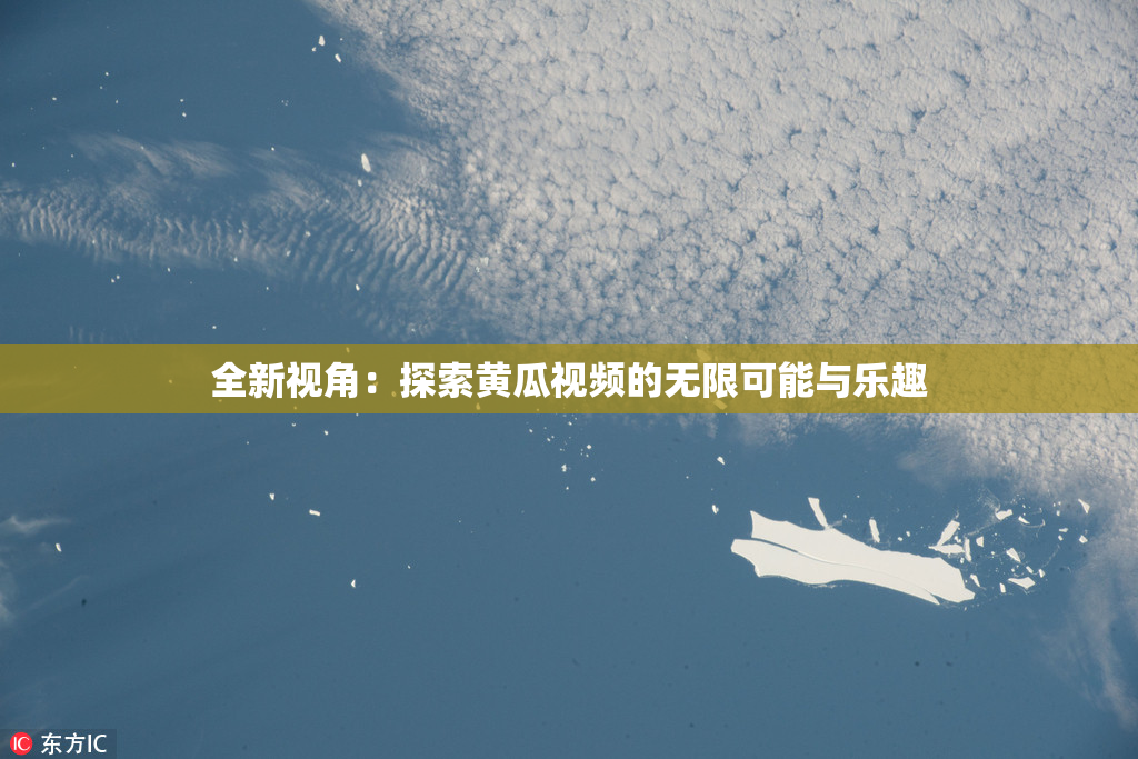 全新视角：探索黄瓜视频的无限可能与乐趣