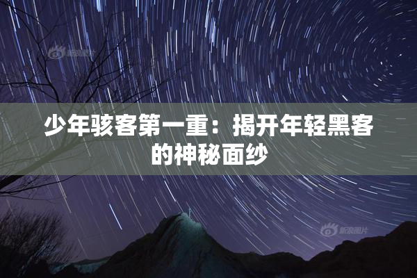 少年骇客第一重：揭开年轻黑客的神秘面纱