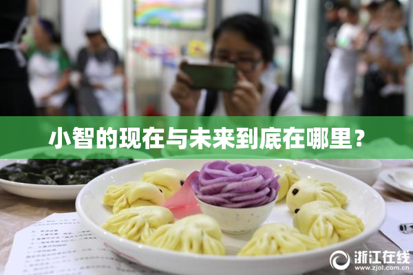 小智的现在与未来到底在哪里？
