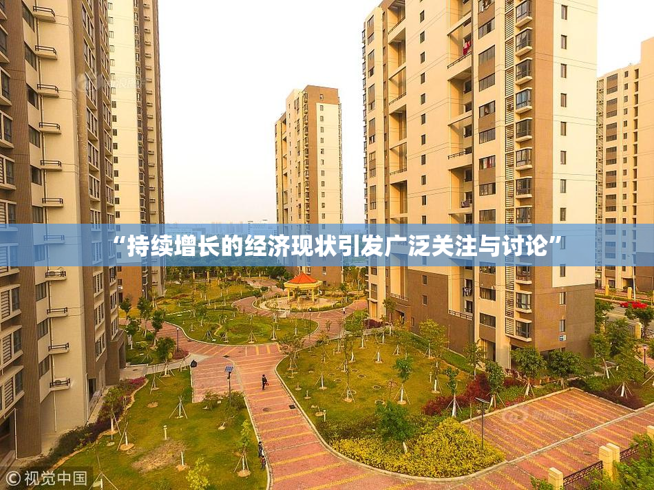 “持续增长的经济现状引发广泛关注与讨论”