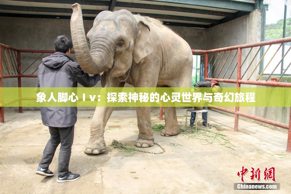 象人脚心Ⅰv：探索神秘的心灵世界与奇幻旅程
