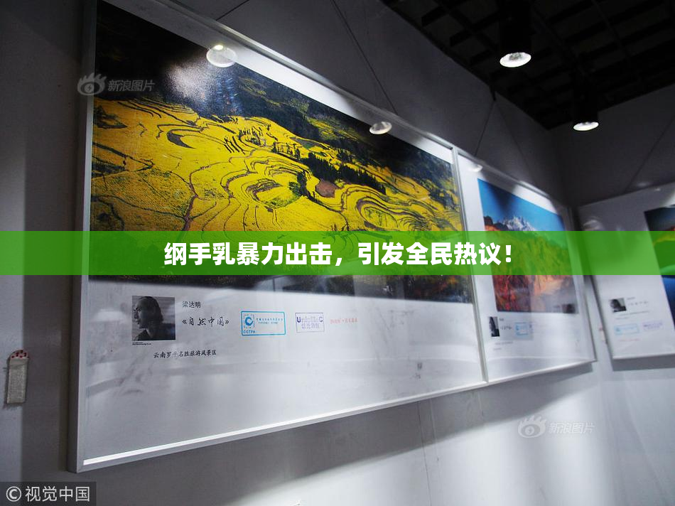 纲手乳暴力出击，引发全民热议！
