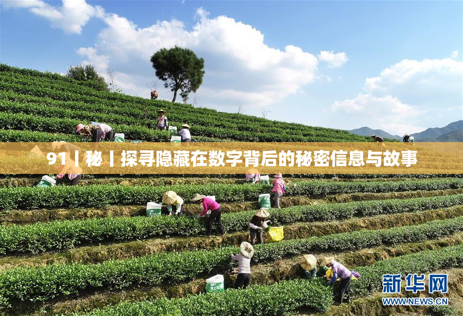 91丨秘丨探寻隐藏在数字背后的秘密信息与故事