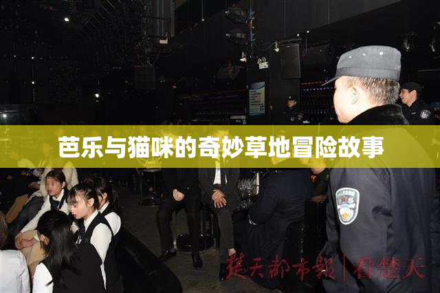芭乐与猫咪的奇妙草地冒险故事