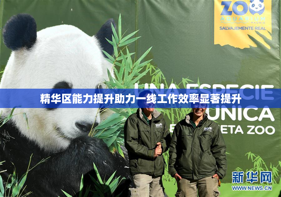 精华区能力提升助力一线工作效率显著提升