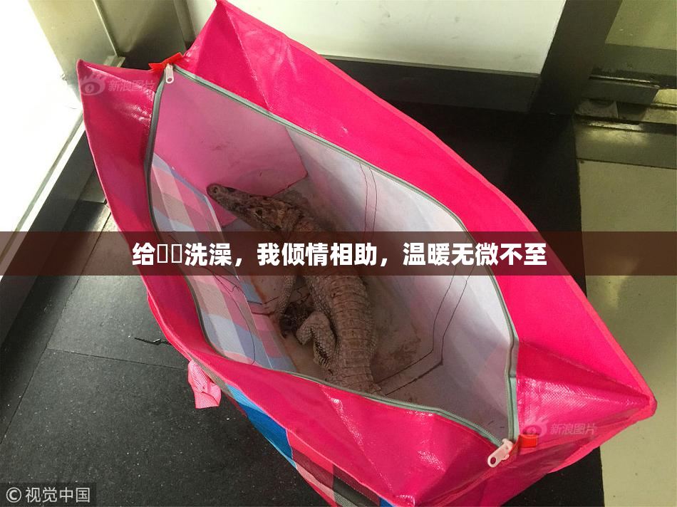 给妺妺洗澡，我倾情相助，温暖无微不至