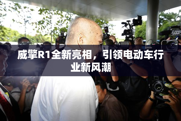威擎R1全新亮相，引领电动车行业新风潮