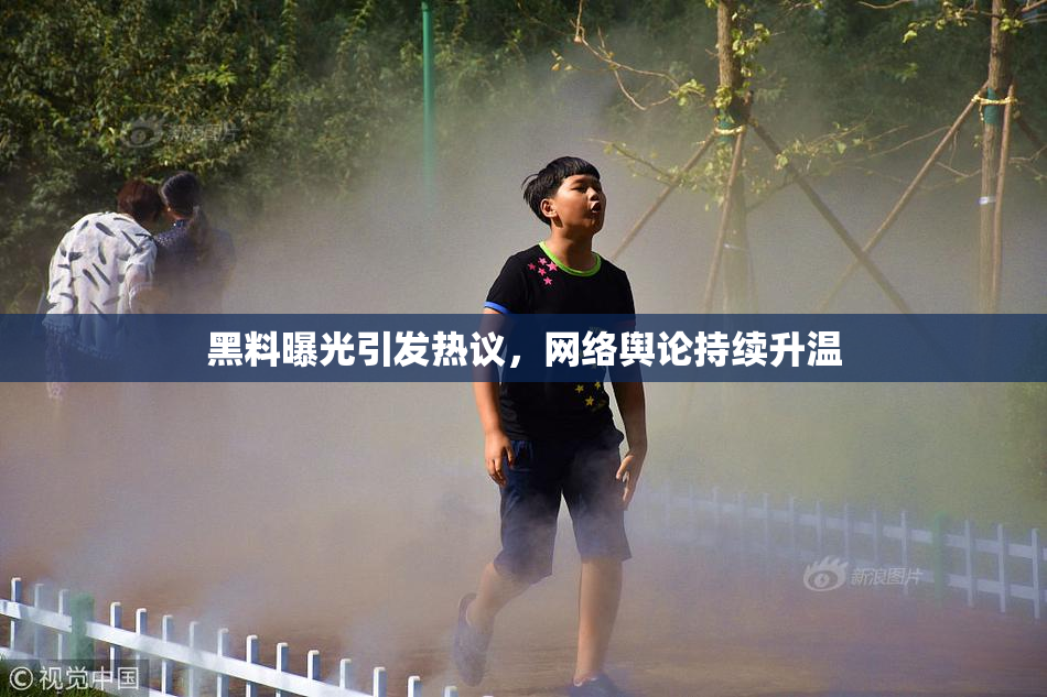 黑料曝光引发热议，网络舆论持续升温