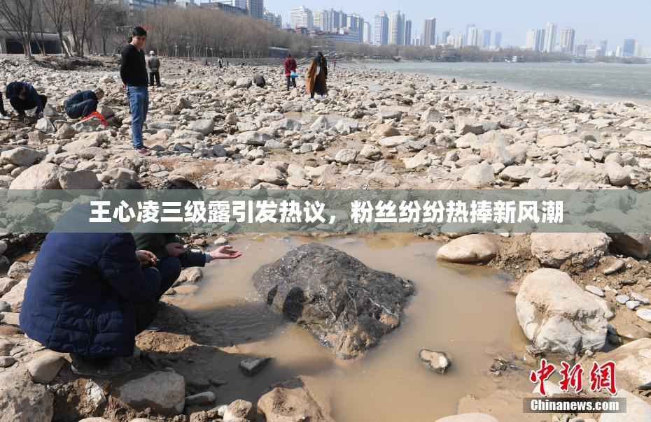 王心凌三级露引发热议，粉丝纷纷热捧新风潮