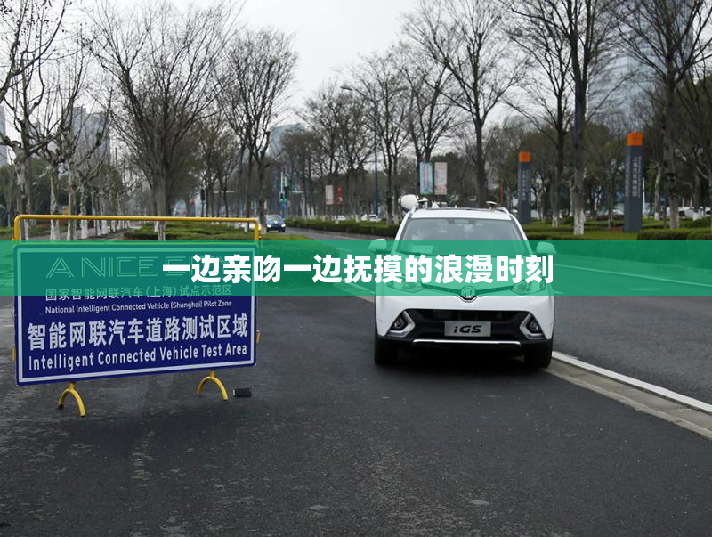 一边亲吻一边抚摸的浪漫时刻