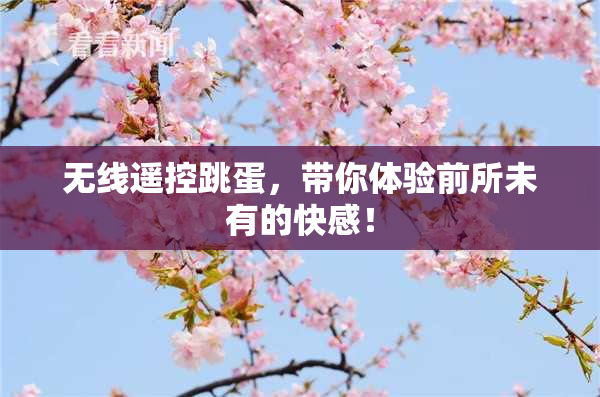 无线遥控跳蛋，带你体验前所未有的快感！