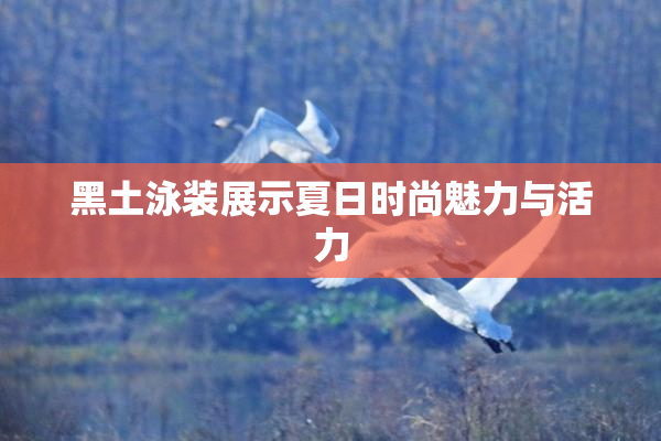 黑土泳装展示夏日时尚魅力与活力