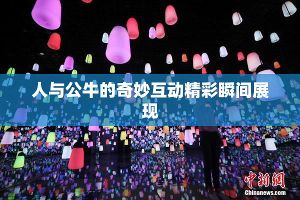 人与公牛的奇妙互动精彩瞬间展现