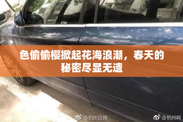 色偷偷樱掀起花海浪潮，春天的秘密尽显无遗