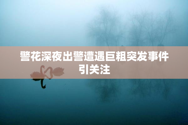 警花深夜出警遭遇巨粗突发事件引关注