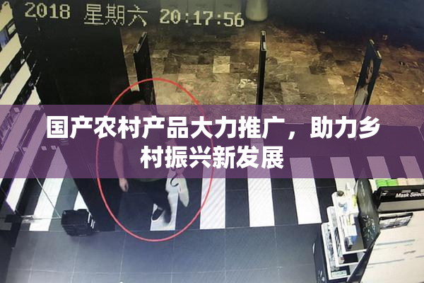 国产农村产品大力推广，助力乡村振兴新发展