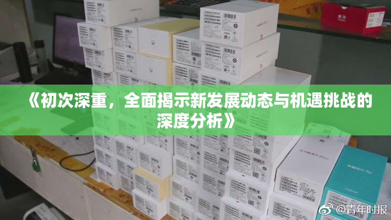 《初次深重，全面揭示新发展动态与机遇挑战的深度分析》