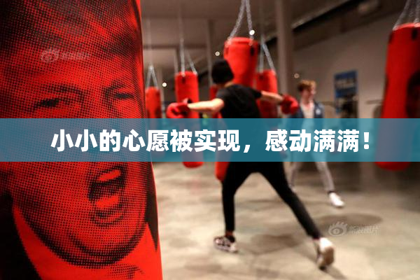 小小的心愿被实现，感动满满！