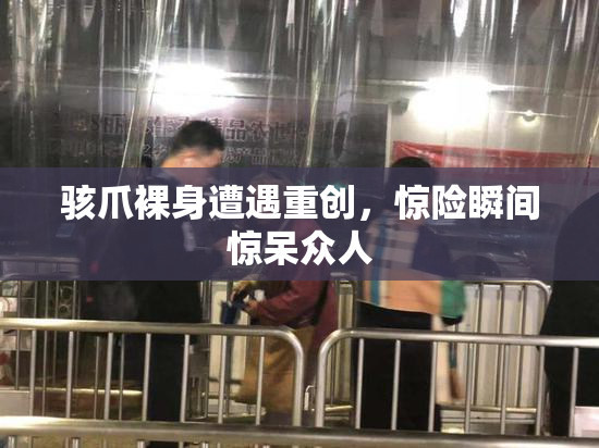 骇爪裸身遭遇重创，惊险瞬间惊呆众人