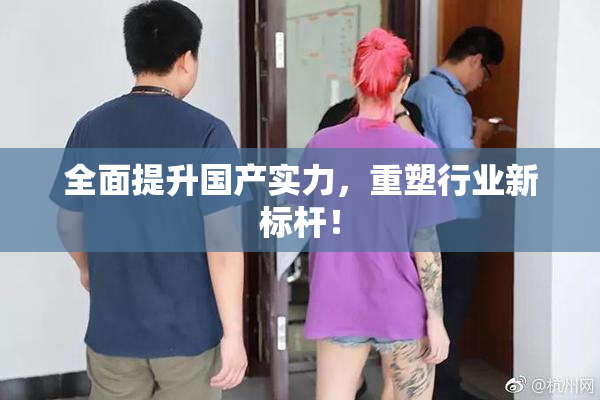 全面提升国产实力，重塑行业新标杆！