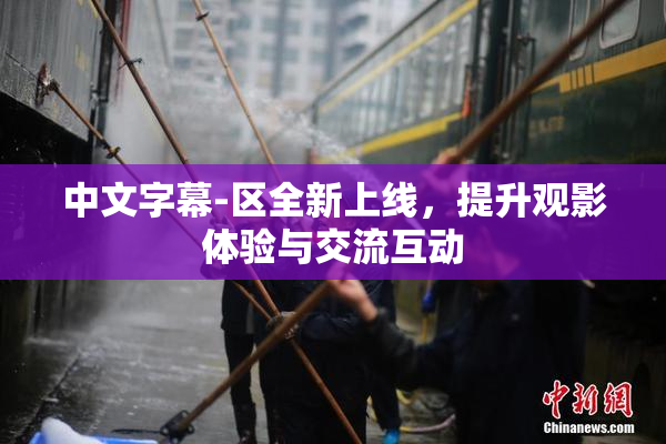 中文字幕-区全新上线，提升观影体验与交流互动