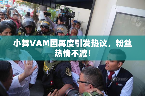 小舞VAM国再度引发热议，粉丝热情不减！