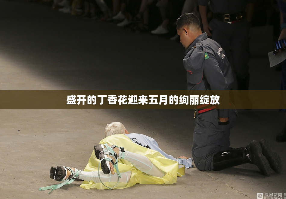 盛开的丁香花迎来五月的绚丽绽放