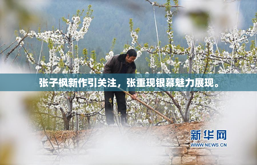 张子枫新作引关注，张重现银幕魅力展现。