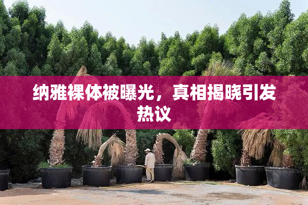 纳雅裸体被曝光，真相揭晓引发热议