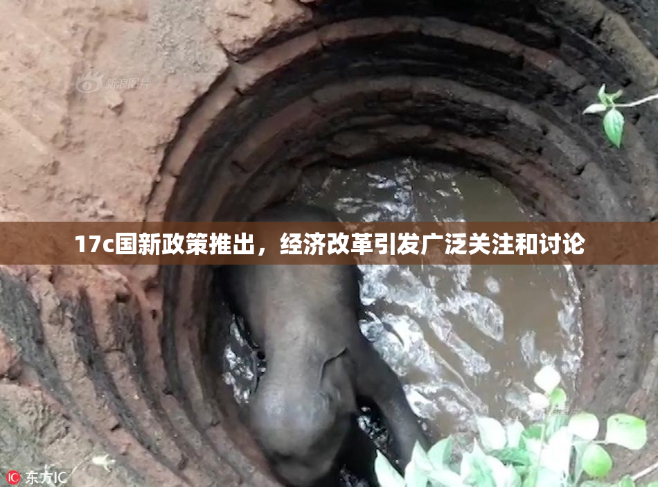 17c国新政策推出，经济改革引发广泛关注和讨论