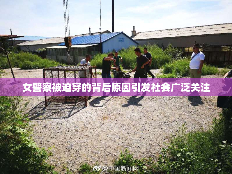 女警察被迫穿的背后原因引发社会广泛关注