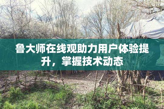 鲁大师在线观助力用户体验提升，掌握技术动态