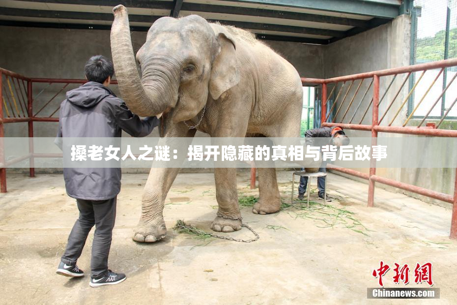 搡老女人之谜：揭开隐藏的真相与背后故事